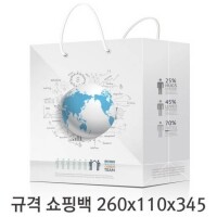 규격 칼라 코팅 쇼핑백 125호